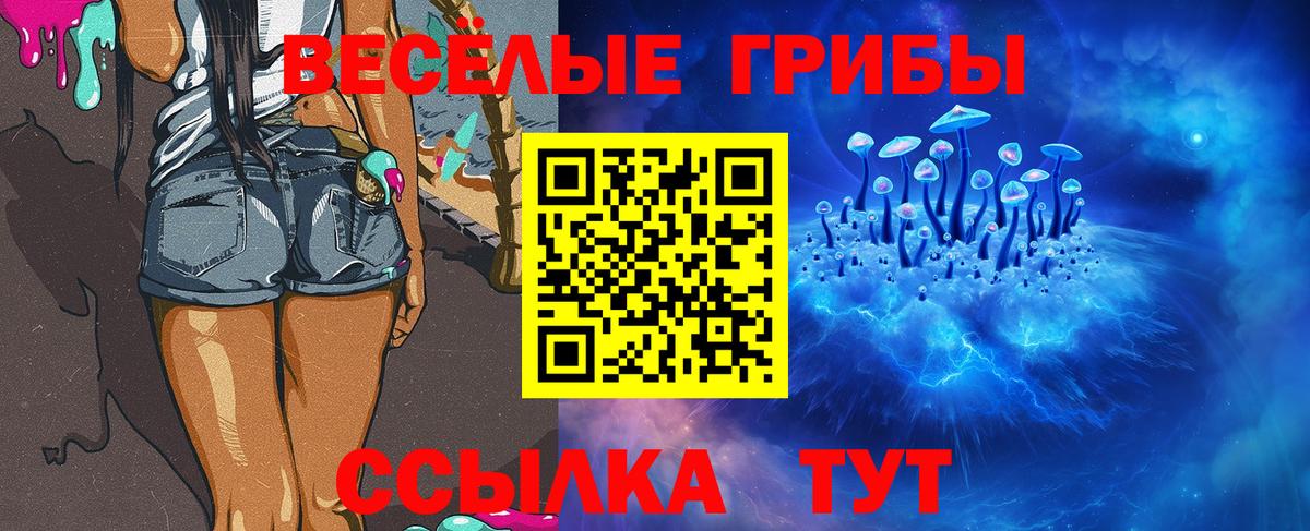 Учалы  Галлюциногенные грибы Psilocybe  Вход с VPN 